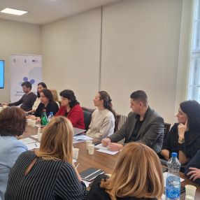 Održano sedam radionica o uvođenju programskog budžetiranja u zdravstvu